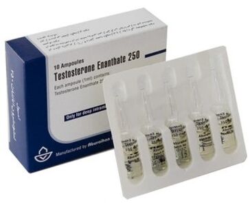 Hormonal Stimulanten vu Potenze bei Männer
